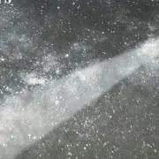 のんの画像