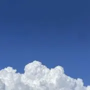 あの画像