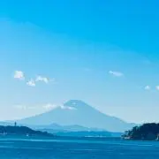 フジサンの画像