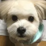 まななみ　プロフ必読の画像