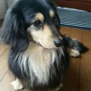 Rittsu