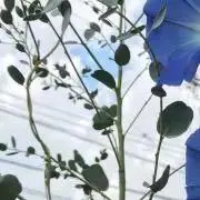 ぽりぽり堂の画像