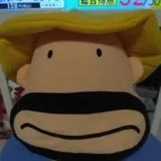 カワセミ『プロフ必読お願いします!の画像