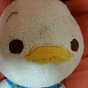 ちびすけ