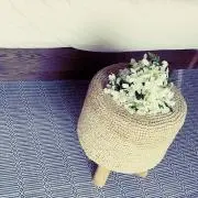 饂飩ちゃん※プロフ必読※値下げ不可※の画像