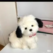 ぇの画像