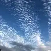 あーさんの画像