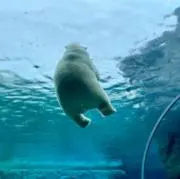 もの画像