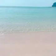 angelの画像