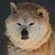 けこ
