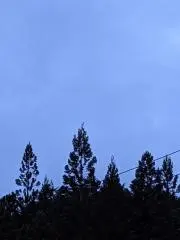 アミ　初心者の画像