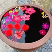 やまいも☆☆の画像