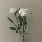 mnrn