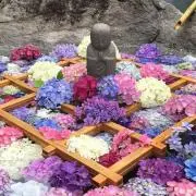 こたの画像