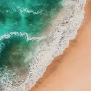 Sea Weの画像