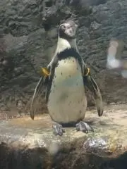 ショコランタン☺の画像