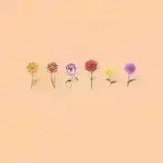 AMO。の画像