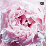 a♡の画像