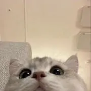 〜断捨離中〜の画像