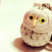 まふゆの画像