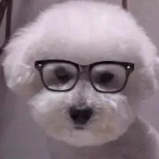 サチ