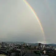 Ｌ（7/4～5 発送休止）の画像