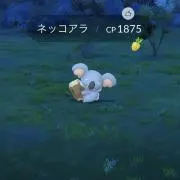akaceの画像