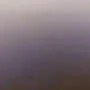 mer.の画像