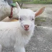 せいちゃんの画像