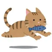 mr123の画像