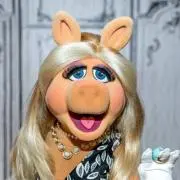 piggyの画像