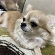 おがさんの画像