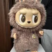 くまちゃんの画像