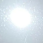 春トマト