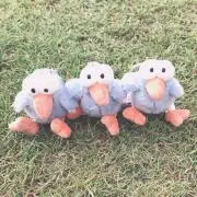 わんころの画像