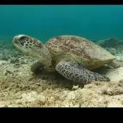 プロフ必読★くっか(^-^)の画像