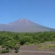 ゆう