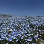 UTの画像