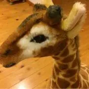 バターサンド♥︎