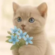 samiの画像