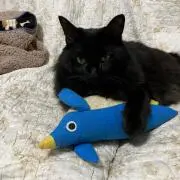 ひーちゃん