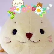 Mayotiの画像