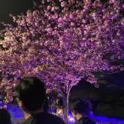 六郎