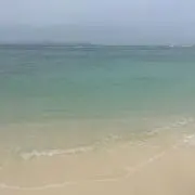 よしの画像