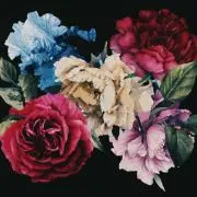 MAME(プロフ必読)の画像