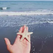 ★プロフィール参照お願いします。