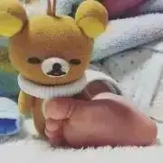 らむの画像