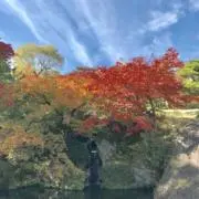 animの画像
