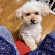 ＫＥＩ