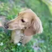 れいれいぼうの画像